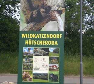 Werbung für die Wildkatze