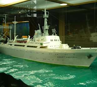 Ausstellung im Museum