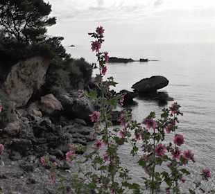 Blick von der Promenade