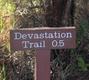 Devastation Trail