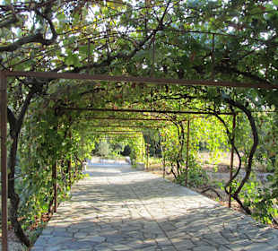 Klostergelände Moni Thari