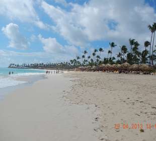 Palmen,Sand und Meer