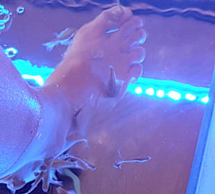 Einkaufen & Shopping