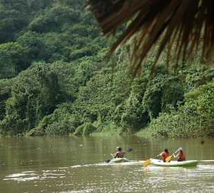Paddeln gegen die Strömung