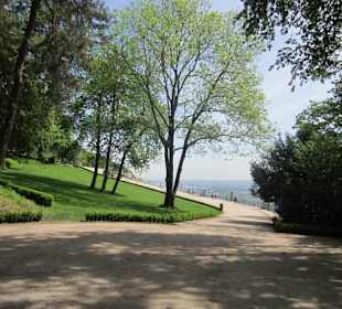 Am Niederwalddenkmal