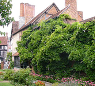 im Garten von Nash House