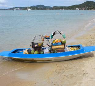 Obst-Boot