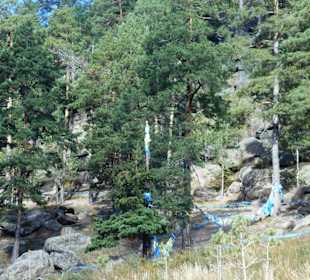 Tempel Aglag Buteelin Khiid