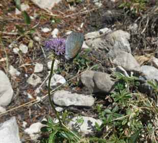 Schöne Wanderungen bei Oberstdorf