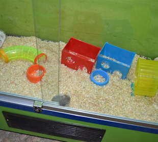 Aquarium/Terrarium Umag