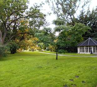 Botanischer Garten