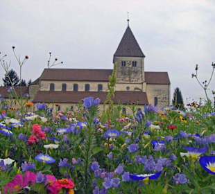 Reichenau