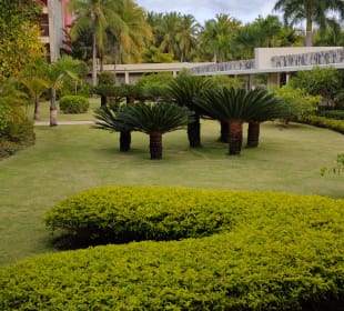 Wunderschöne, sehr gepflegte Anlage mit viel grün und vorallem tollen Palmen Barceló Bávaro Palace