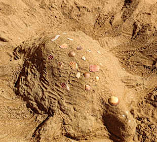 Praia de Nossa Senhora da Rocha