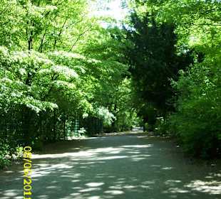 Grünanlage