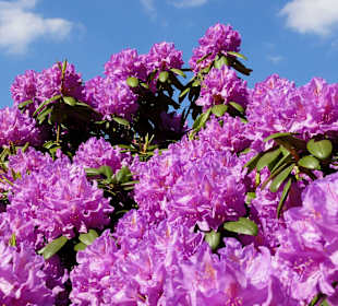 Spaziergang durch den Kurpark