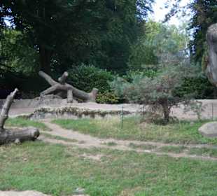 Tierpark Hagenbeck
