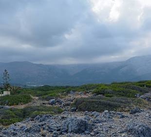 Ein paar Inspirationen von unserer Strandwanderung