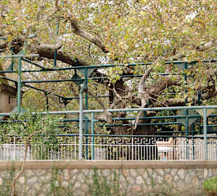 Hier lehrte vor ca. 3000 Jahren ein Großer