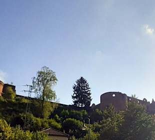 Schloss- und Festungsruine Hardenburg 