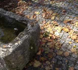 Dorfbrunnen Sirchingen