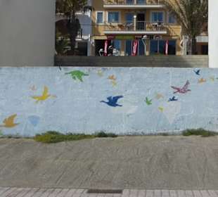 Urbane Malerei – Straßenkunst in Can Picafort