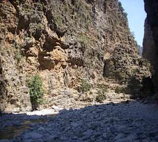 In der Schlucht