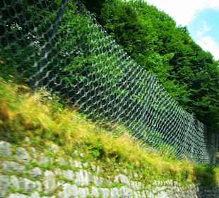 Fangzäune sind neu dieses Jahr