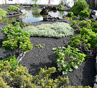 Fundacion Cesar Manrique