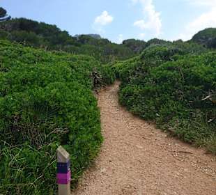 Wandern Cala Mesquida