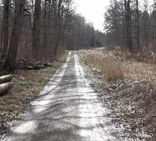 Gomaringer Rundweg - Zu den Giganten im Wald