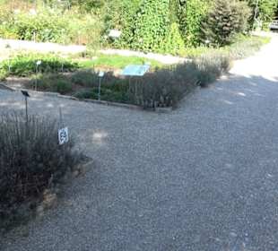 Botanischer Garten München