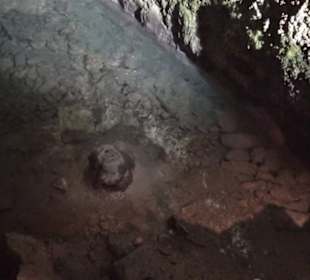 Nebelhöhle