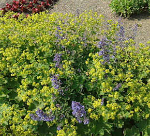 Sehr schöne Gartenanlage