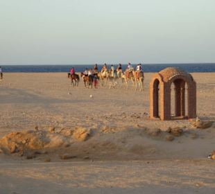 Strand Marsa Alam