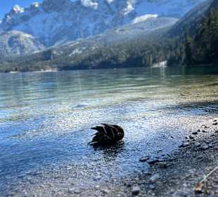 Eibsee