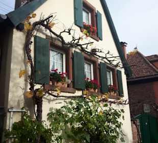 Rhodt unter Rietburg