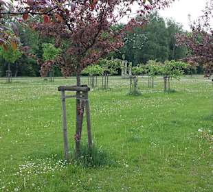 Park