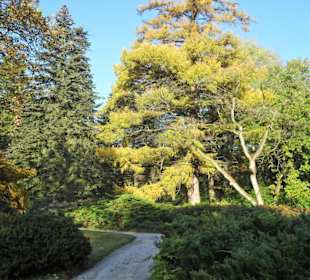 Herbstspaziergang durch den Schlosspark Lütetsburg