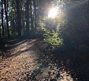 Wandern Friedrichroda