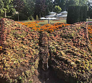 Stadtrundgang Miedzyzdroje