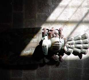 Steinwappen in der Wand