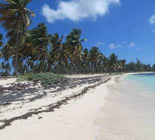 Saone ist wirklich ein Traum wir waren fast allein
