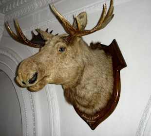 Deutsches Jagd- und Fischereimuseum