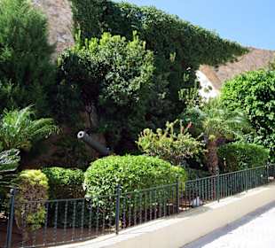 Calpe -  unterhalb der Iglesia Antigua