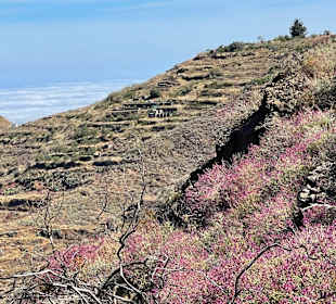 Inselrundfahrt Gran Canaria
