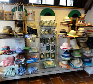 Blick auf die Auslage des Museums-Shop