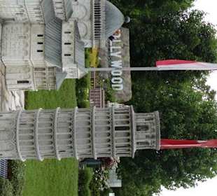 Pisa im Vordergrund