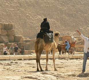 Traue keinem Polizisten auf einem Kamel!