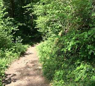 Wanderweg Sieben-Täler-Runde 